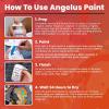 imageAngelus Leather Paint Basics Kit  Acrylic Leather Paint Set with 5 Colors 1 oz each Preparer ampamp Deglazer and Paintbrushes1